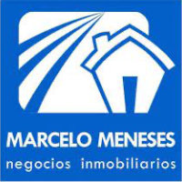 Marcelo Meneses